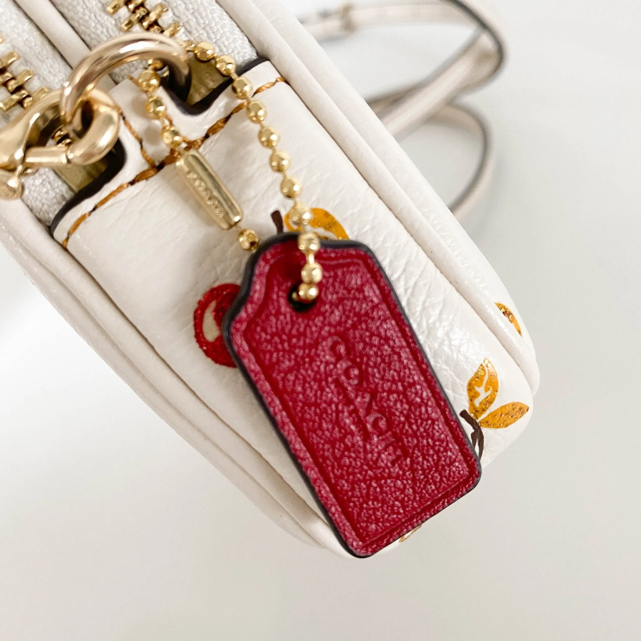 Cherry Pouch Shoulder Bag