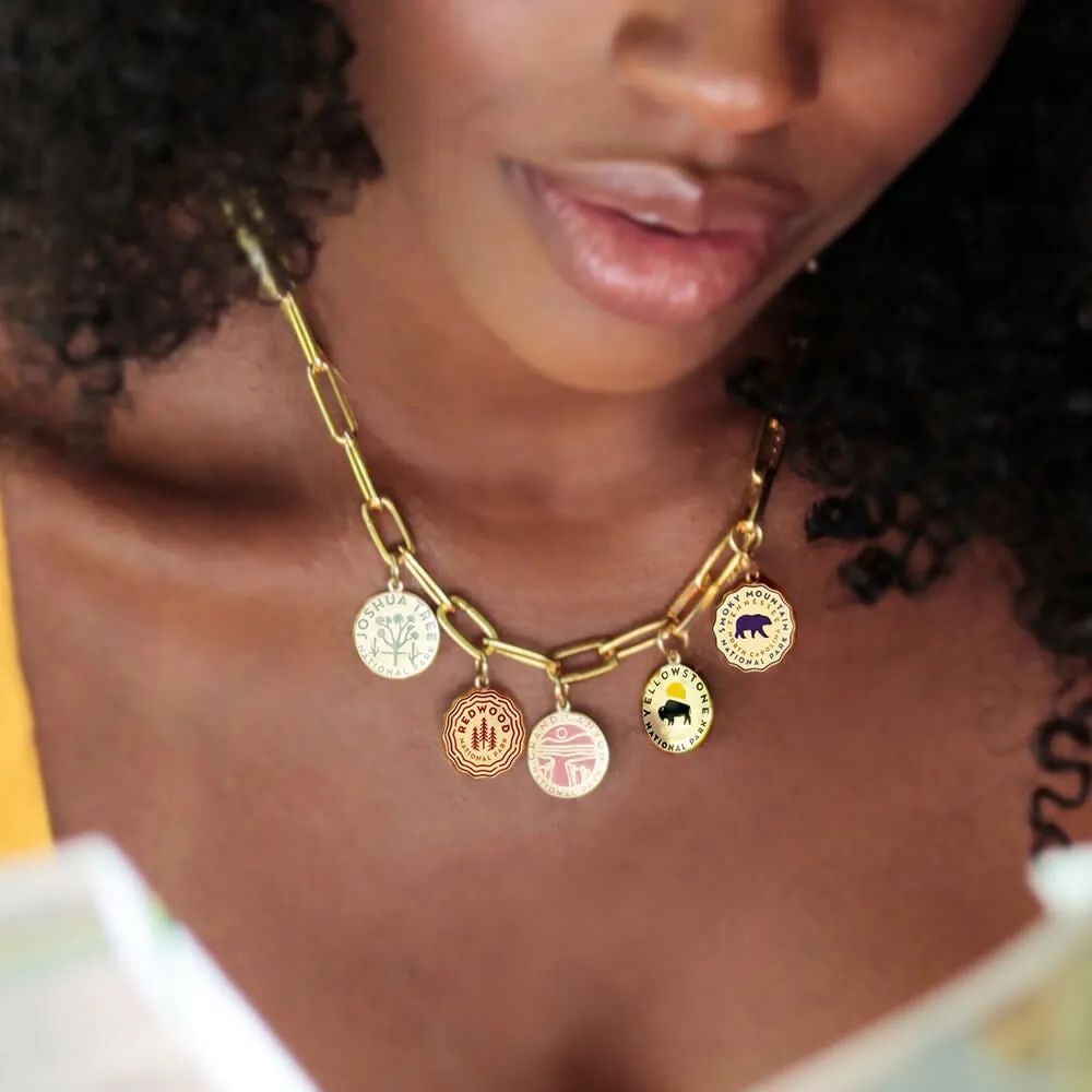 National Park Clip Necklace Bundle, 5 gold charms