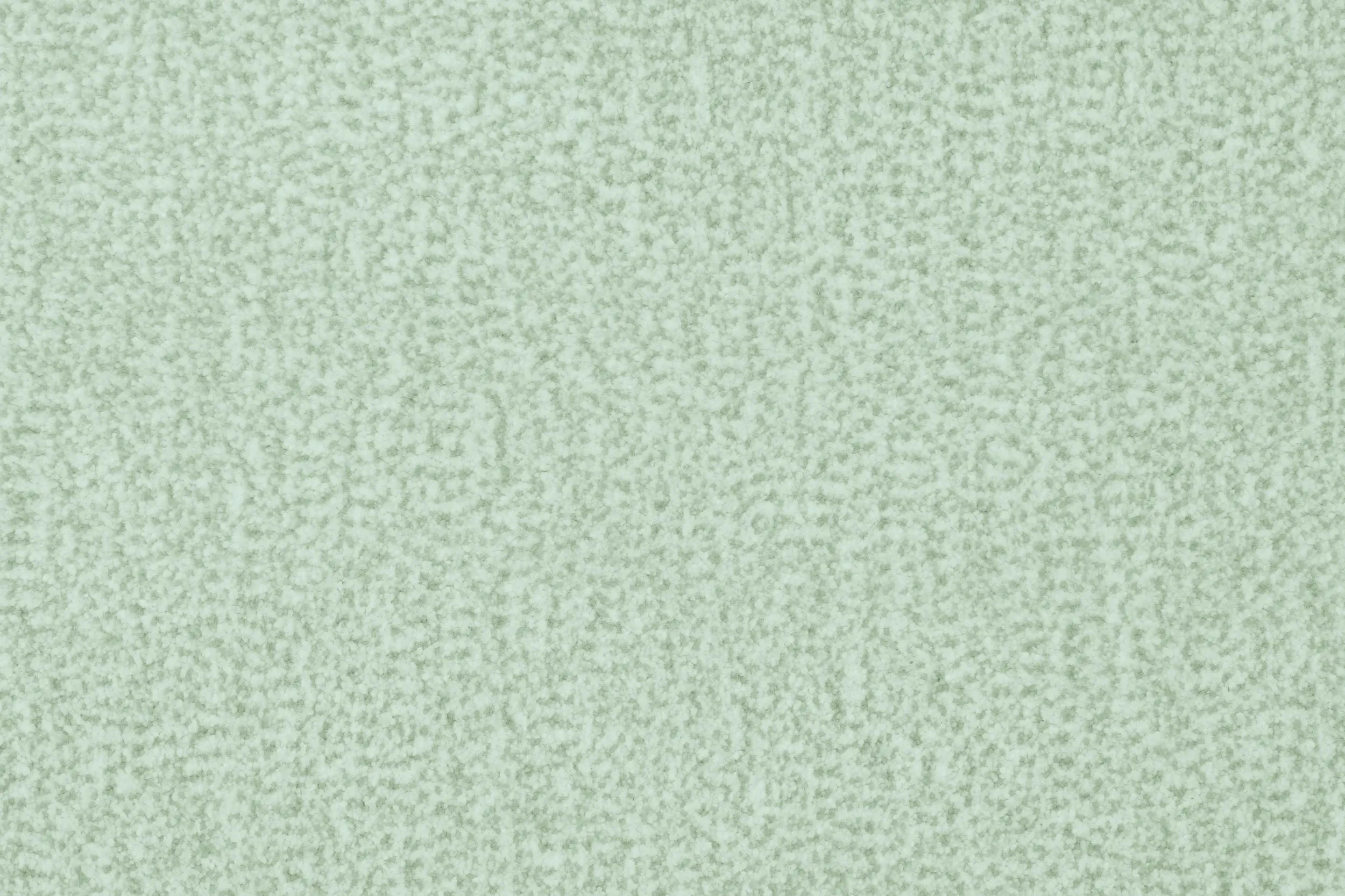 Speckle